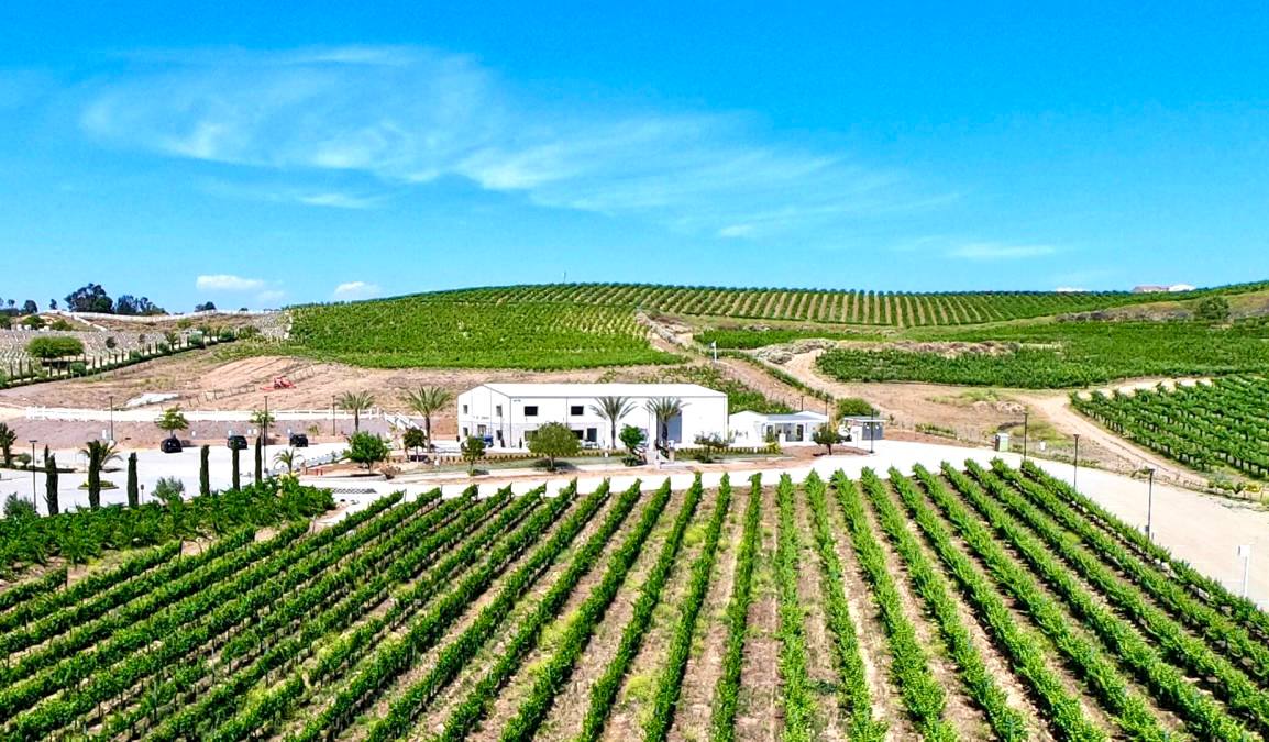 Akash Winery & Vineyards — Temecula Valley winery