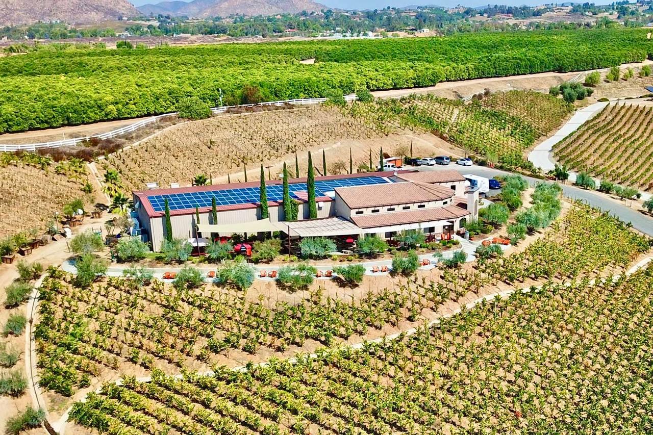 Cougar Vineyard & Winery — Temecula Valley winery