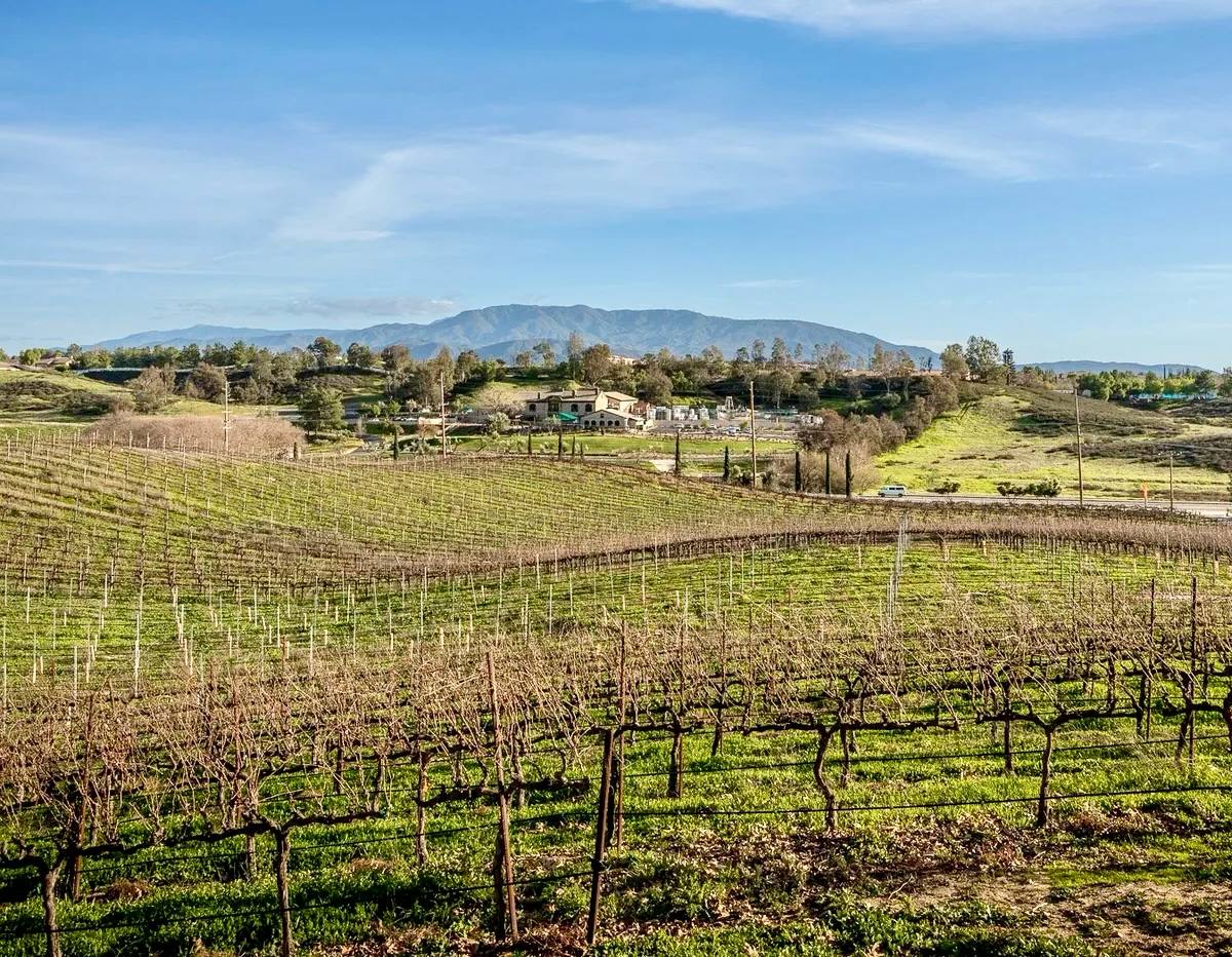 Halter Ranch Temecula — Temecula Valley winery