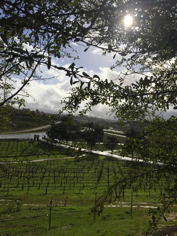 Lumiere Winery — Temecula Valley winery