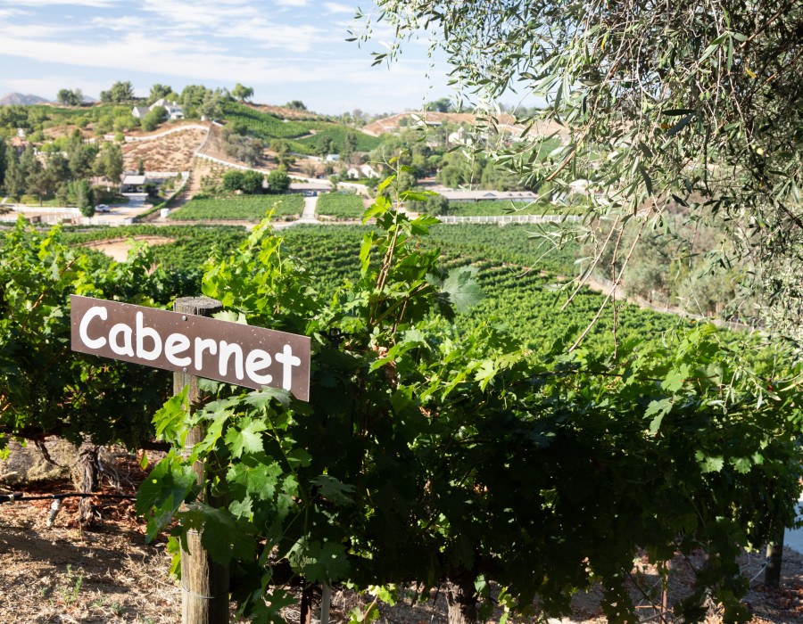 Oak Mountain Winery — Temecula winery