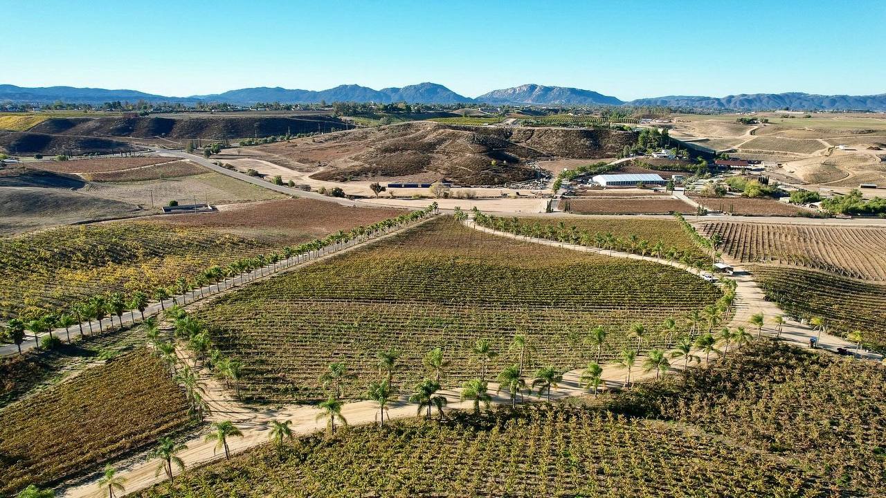 Raúl Ramírez Bodegas y Viñedos — Temecula Valley winery