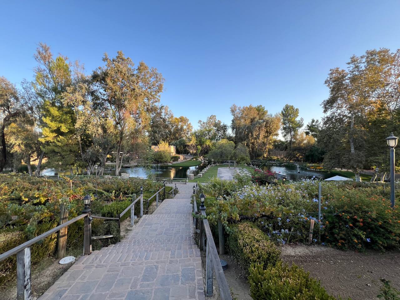 Vitagliano Vineyards & Winery — Temecula Valley winery